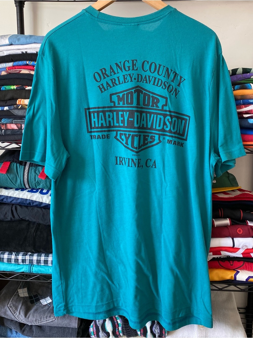 Harley Davidson Pin Up Girl T-Shirt Irvine California 2019 Motorcycle Grunge - Picture 3 of 3